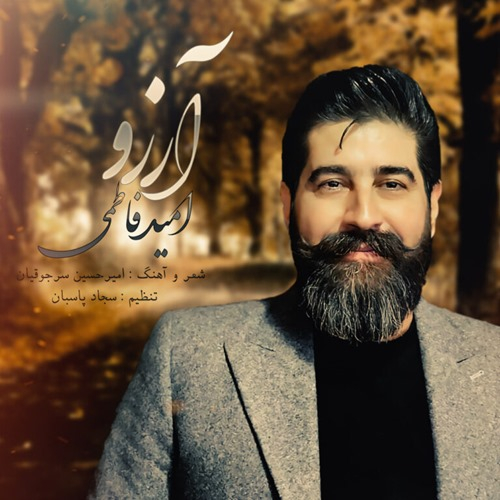 امید فاطمی آرزو